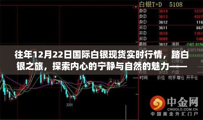 12月22日国际白银现货行情下的心灵探索之旅,白银与自然魅力的交汇点