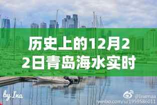 探寻青岛深海秘密,历史海水温度揭秘与隐藏小巷的特色小店介绍