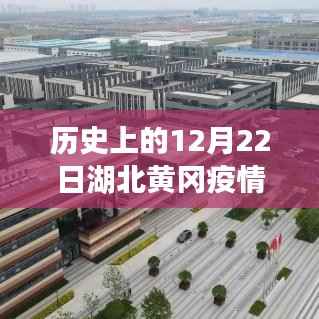 湖北黄冈疫情实时追踪,科技智能监控下的防疫新纪元启动(科技赋能助力防疫)