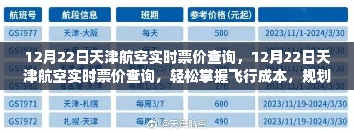 12月22日天津航空实时票价查询,掌握飞行成本,规划旅行预算的必备工具