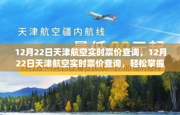12月22日天津航空实时票价查询,掌握飞行成本,规划旅行预算的必备工具