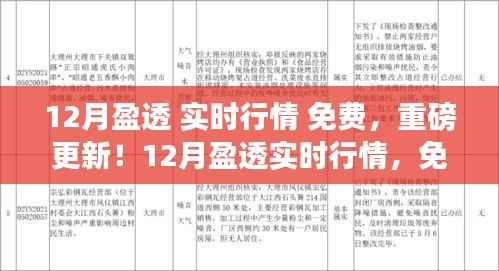重磅更新!免费掌握12月盈透实时行情