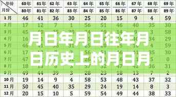 月日月年的奇妙探索与时光旅者的友情翻译,实时翻译器评价与实时历史月日翻译猜测