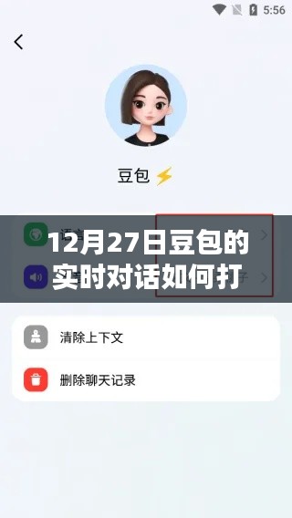 12月27日豆包实时对话开启指南,从初学者到进阶用户的详细步骤