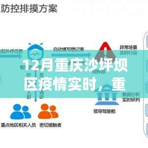 重庆沙坪坝区疫情实时观察,应对十二月下的挑战与应对