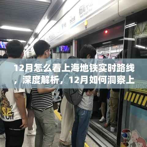 深度解析,如何实时掌握上海地铁路线动态——我的观点分享