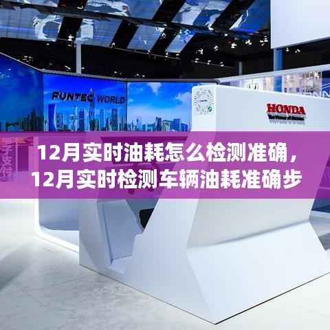 12月实时检测车辆油耗的准确步骤指南