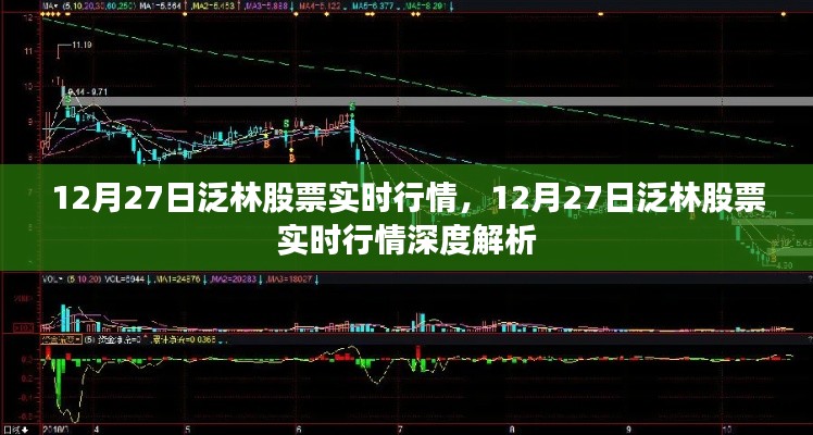 12月27日泛林股票实时行情深度解析与最新动态