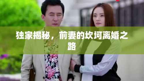 独家揭秘,前妻的坎坷离婚之路