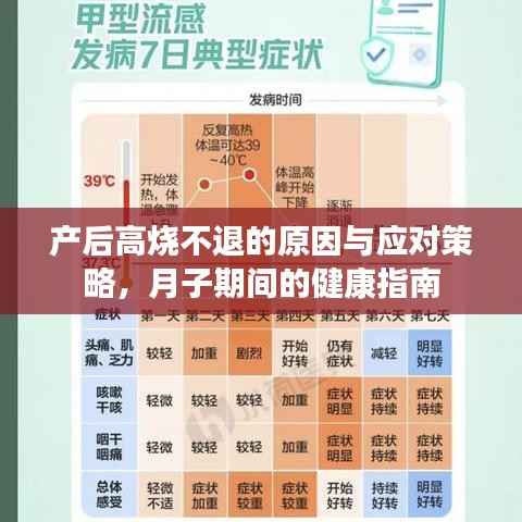 产后高烧不退的原因与应对策略,月子期间的健康指南