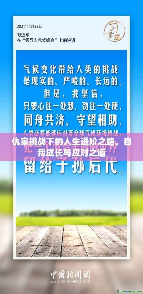 仇家挑战下的人生进阶之路,自我成长与应对之道