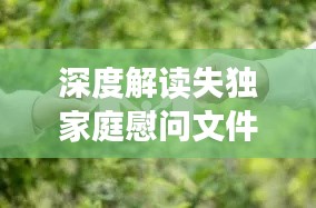 深度解读失独家庭慰问文件，关怀与支持的传递