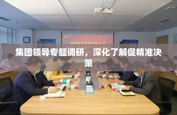 集团领导专题调研,深化了解促精准决策