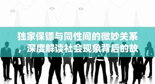 独家保镖与同性间的微妙关系,深度解读社会现象背后的故事