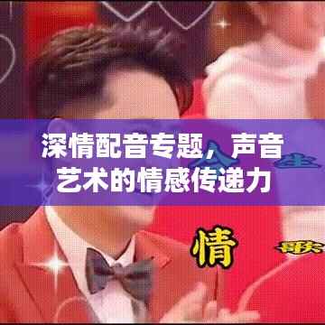 深情配音专题,声音艺术的情感传递力