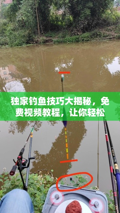独家钓鱼技巧大揭秘,免费视频教程,让你轻松享受垂钓乐趣!