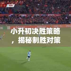 小升初决胜策略,揭秘制胜对策秘籍专题