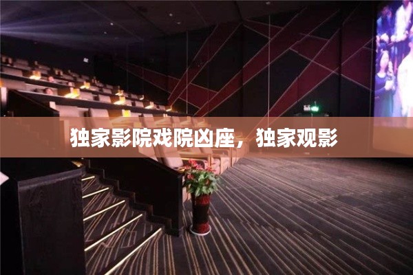 独家影院戏院凶座,独家观影