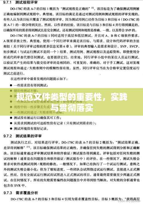 规范文件类型的重要性,实践与贯彻落实