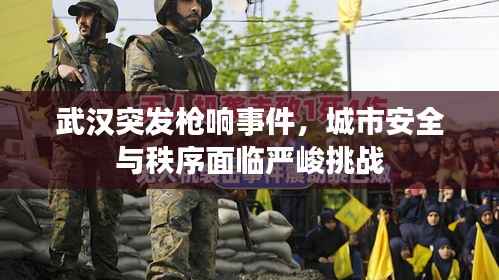 武汉突发枪响事件,城市安全与秩序面临严峻挑战