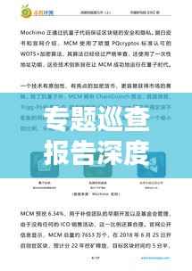专题巡查报告深度解析,发现问题与解决方案的综合呈现