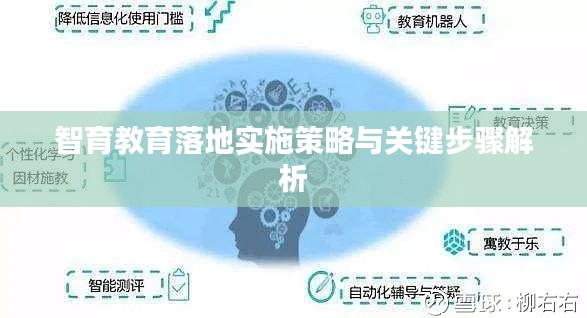 智育教育落地实施策略与关键步骤解析