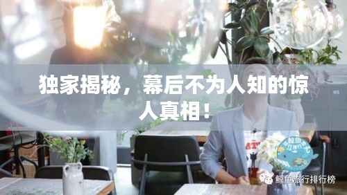 独家揭秘,幕后不为人知的惊人真相!