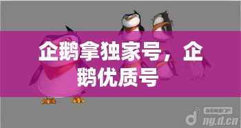 企鹅拿独家号,企鹅优质号