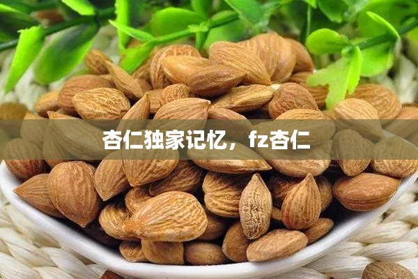 杏仁独家记忆,fz杏仁