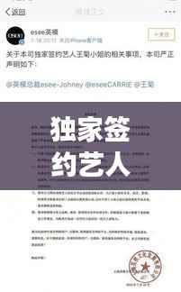 独家签约艺人解约内幕揭秘，原因探究与未来展望