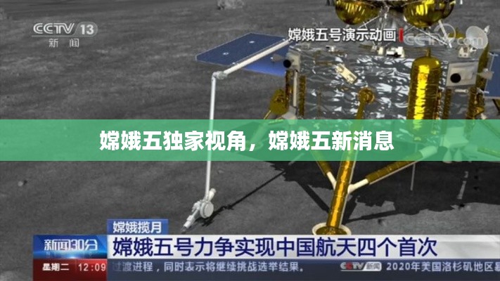 棒打出头鸟 第2页