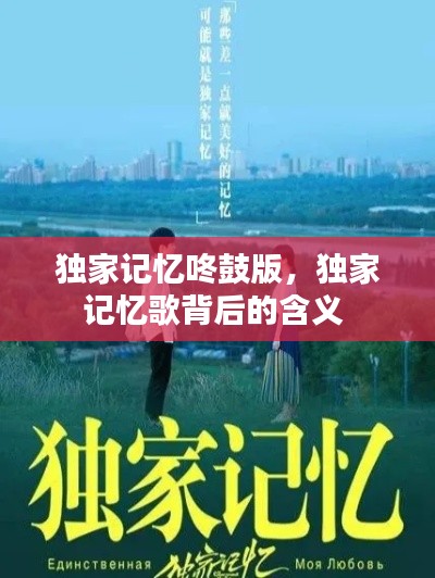 独家记忆咚鼓版,独家记忆歌背后的含义