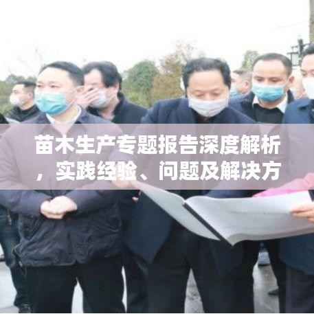 苗木生产专题报告深度解析,实践经验、问题及解决方案总结