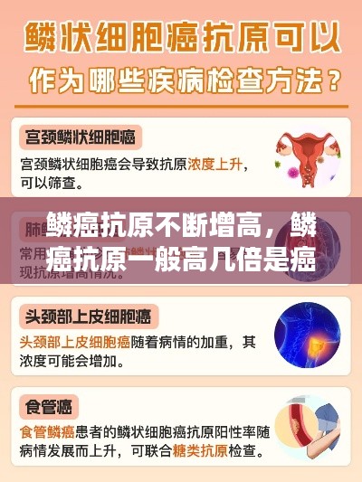 昙花一现 第2页