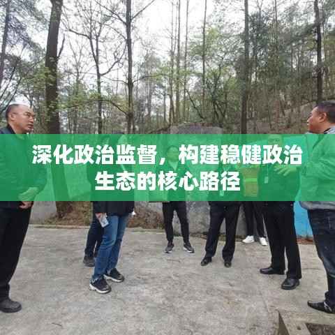 深化政治监督，构建稳健政治生态的核心路径