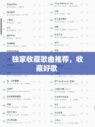 独家收藏歌曲推荐，收藏好歌 