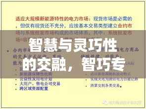 智慧与灵巧性的交融,智巧专题探索