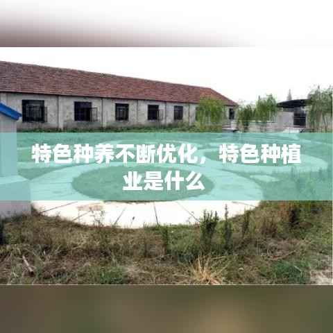 特色种养不断优化,特色种植业是什么