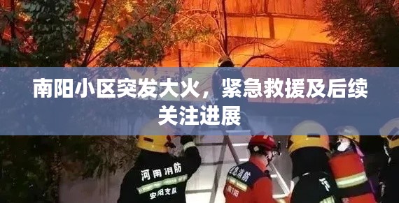 南阳小区突发大火,紧急救援及后续关注进展
