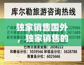 独家销售国外，独家销售的产品 