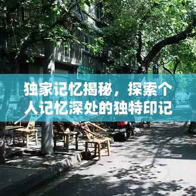 独家记忆揭秘,探索个人记忆深处的独特印记