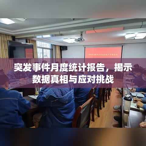 突发事件月度统计报告，揭示数据真相与应对挑战