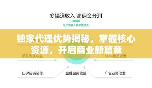 独家代理优势揭秘,掌握核心资源,开启商业新篇章