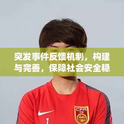 突发事件反馈机制,构建与完善,保障社会安全稳定的关键举措