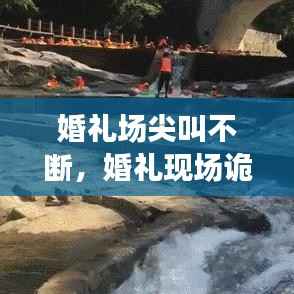 婚礼场尖叫不断，婚礼现场诡异声音 