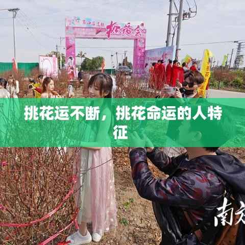 挑花运不断,挑花命运的人特征