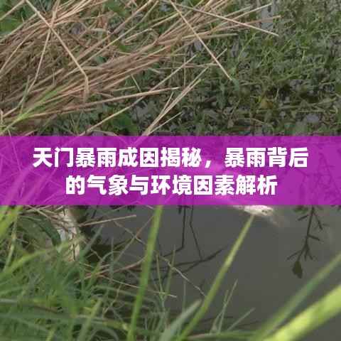 天门暴雨成因揭秘,暴雨背后的气象与环境因素解析
