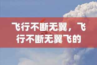 飞行不断无翼,飞行不断无翼飞的原因