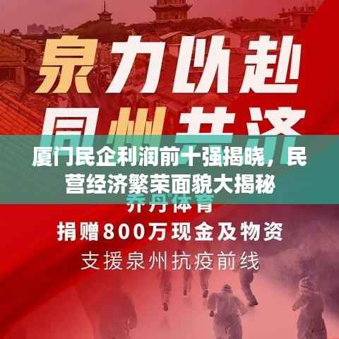 厦门民企利润前十强揭晓,民营经济繁荣面貌大揭秘