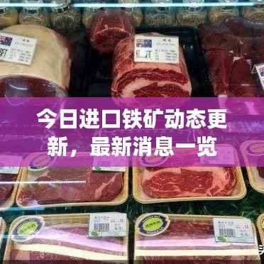 今日进口铁矿动态更新,最新消息一览